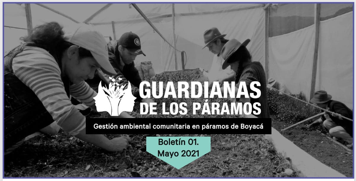 BOLETÍN 01. GUARDIANAS DE LOS PÁRAMOS