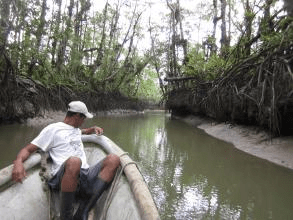 LA COMUNIDAD DE LA BARRA: EL LARGO CAMINO DEL RECONOCIMIENTO DE LA PROPIEDAD COLECTIVA Y EL RETO DEL DESPLAZAMIENTO AMBIENTAL