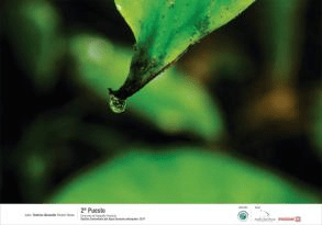 PROYECTO GESTIÓN COMUNITARIA DEL AGUA – SUROESTE ANTIOQUEÑO- PREMIACIÓN CONCURSO DE FOTOGRAFÍA