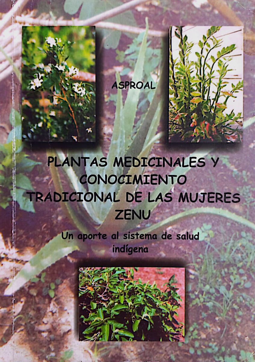 Plantas medicinales y conocimiento tradicional de las mujeres Zenú Un aporte al sistema de salud indígena