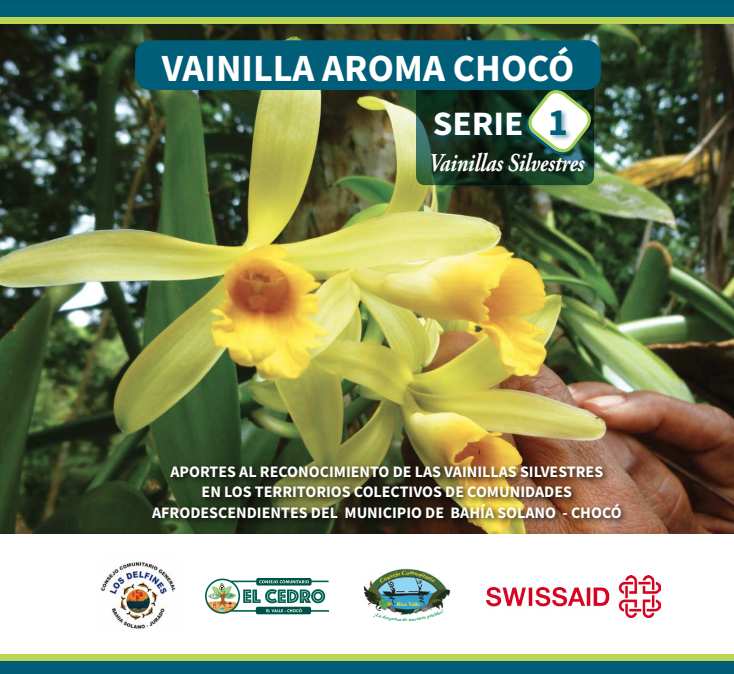 Vainilla Aroma Chocó – serie 1 Vainillas silvestres