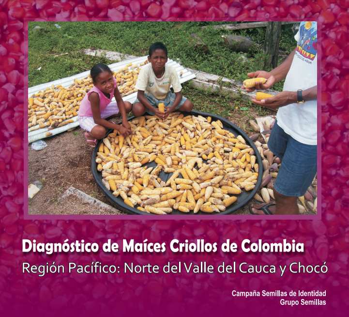 Diagnóstico de  Maíces Criollos- Región Pacífico