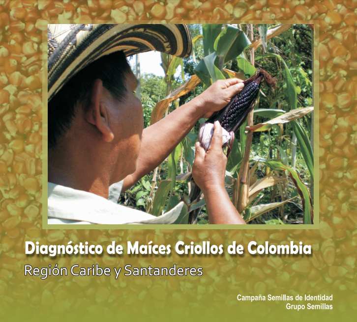 Diagnóstico de  Maíces Criollos- Región Caribe y  Santanderes