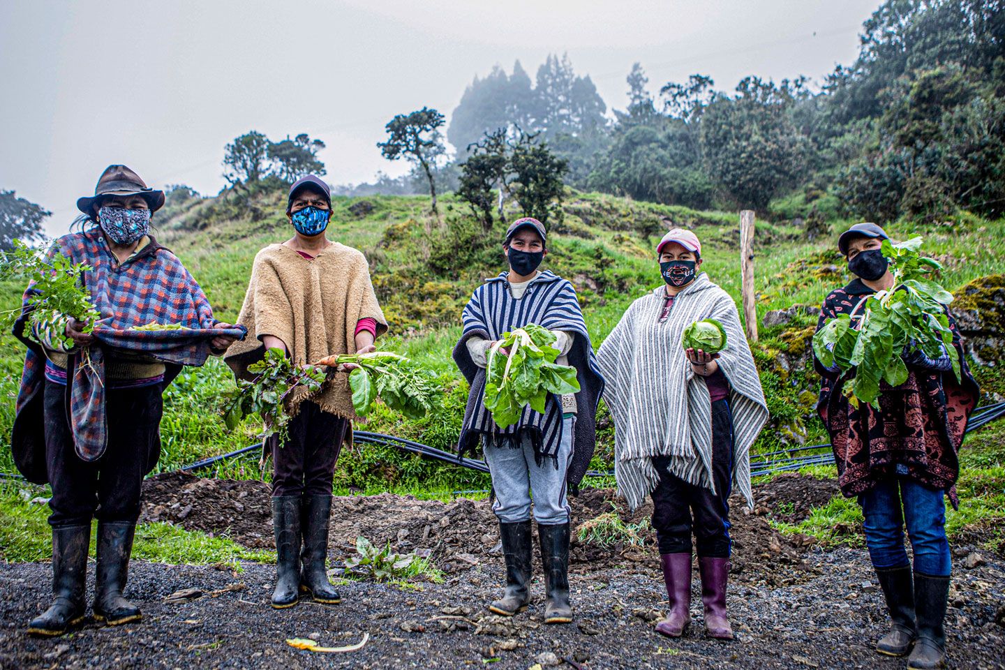 Mandato alimentario para la nueva presidencia y el nuevo congreso de Colombia 2022 – 2026