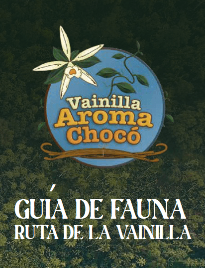 Guía de fauna en la «Ruta de la vainilla» – Bahía Solano, Chocó.